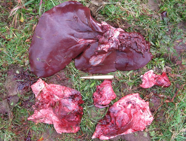 pig vitals for web.jpg